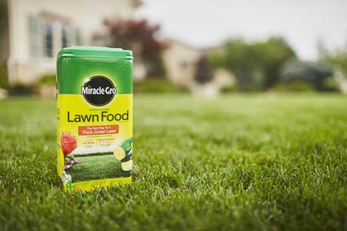 Miracle-Gro® Water Soluble Lawn Food (5 lbs)