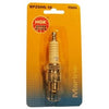 Spark Plug, Marine, BPZ8HS-10