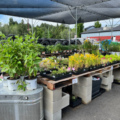 Inside Spence Hardware