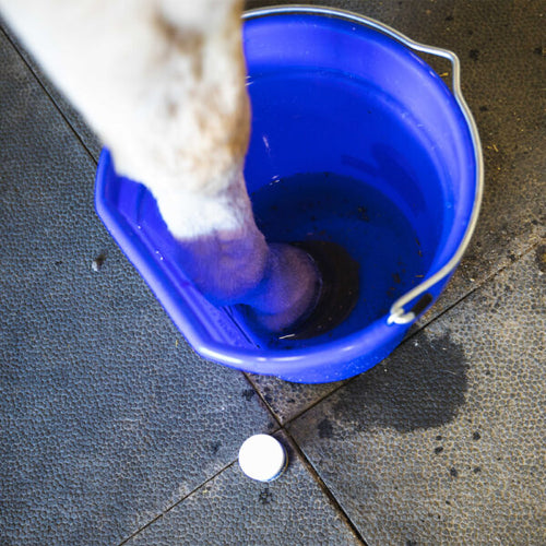 Vetericyn® Hoof Soak