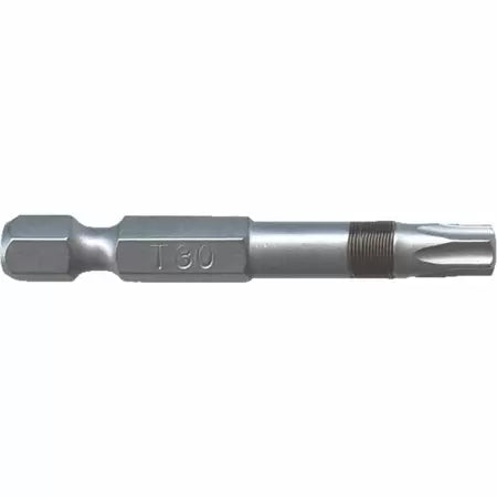 Big Timber T30 x 2 In. Torx Bit 2-Piece