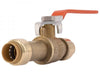 Sharkbite Slip Ball Valve 3/4 (3/4 in.)