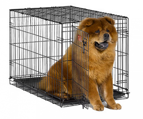 Midwest iCrate Single Door Folding Dog Crate