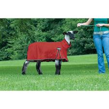 Weaver Leather ProCool™ Sheep Blanket with Reflective Piping