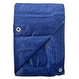 Blue Polyethylene Tarp, 30 x 50-Ft.