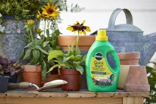 Miracle-Gro® Quick Start® Planting & Transplant Starting Solution (48 oz)