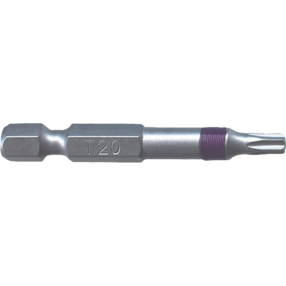 Big Timber T20 x 2 In. Torx Bit (2-Piece)