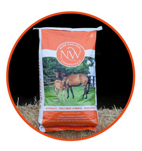 Northwest Mare & Foal Concentrate (50 lb)