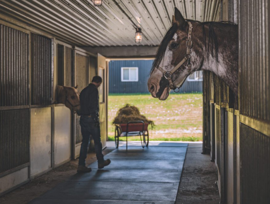 Red Barn® Classic Stall Mat