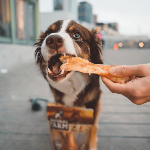 Natural Farm Beef Tendon Dog Chews