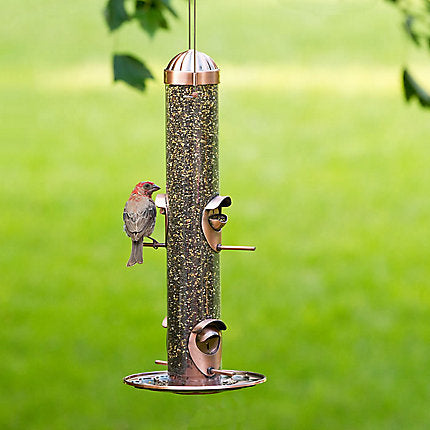 Perky-Pet® Copper Finish 2-in-1 Wild Bird Feeder - 1.8 lb Seed Capacity