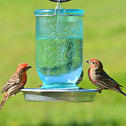 Perky-Pet® Mason Jar Wild Bird Waterer - 32 oz Water Capacity