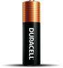 Duracell Coppertop AA Alkaline Batteries