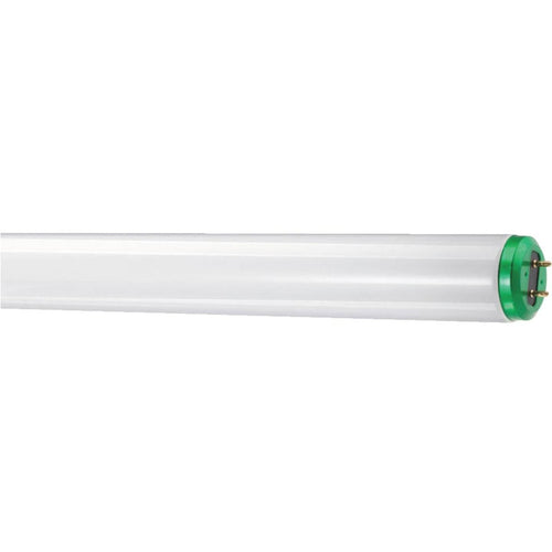 Philips ALTO 40W 48 In. Soft White T12 Medium Bi-Pin Fluorescent Tube Light Bulb (2-Pack)