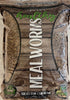 Zylina Healthy Mealworms
