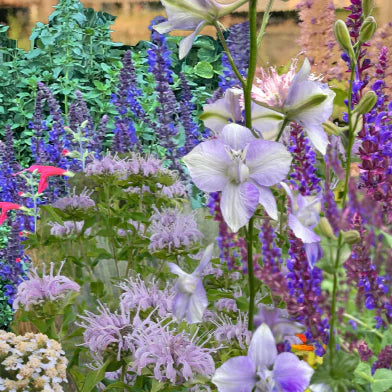 Flower Mix Bee My Pollinator