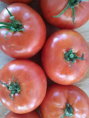 Tomato Moscow Idaho