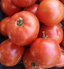 Tomato Super Sioux