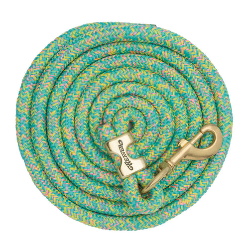 Weaver Poly Lead Rope with a Solid Brass 225 Snap