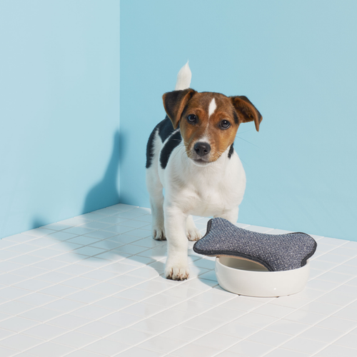 E-Cloth Pet   Bowl   Scrubber