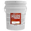 Latex Ceiling Paint, Brite White Flat Latex, 5-Gallons